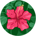 Kimberly DeLaat profile picture